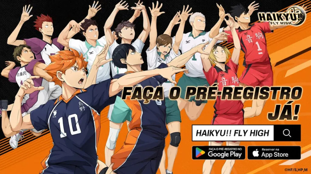 Haikyu Flight Hight