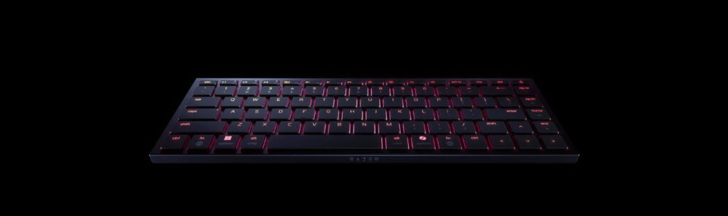 Razer Joro